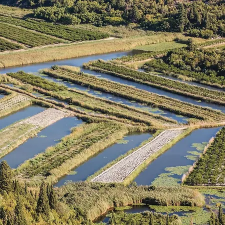 別荘 Amazing In With Sauna プロチェ