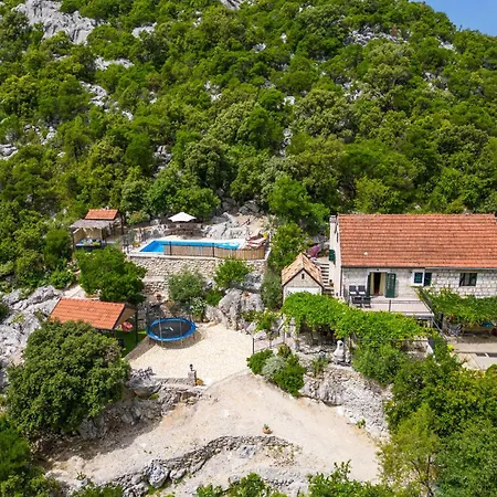 Amazing In With Sauna プロチェ